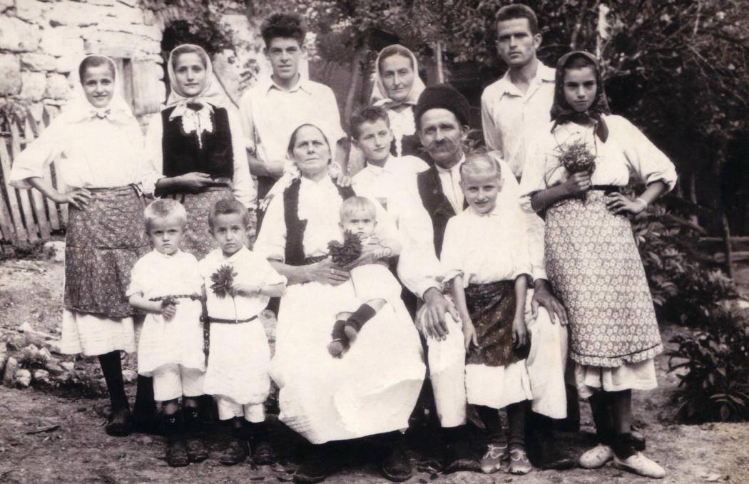 члены семьи по-сербски