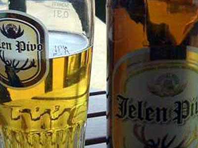 пиво Jelen
