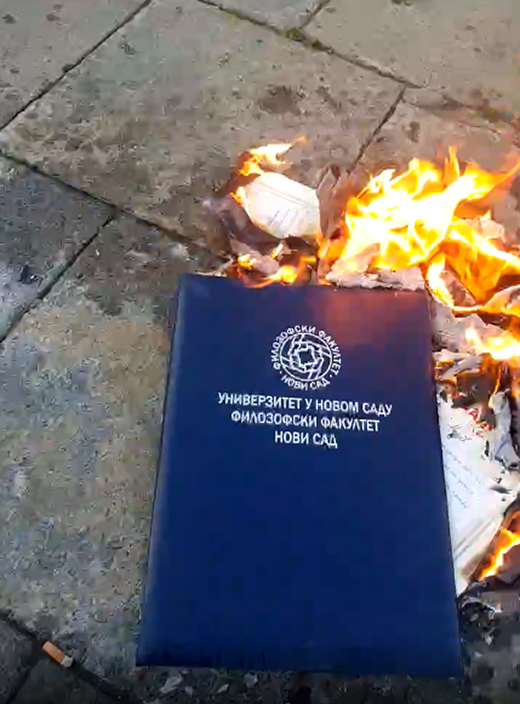 Учительница сожгла диплом возле здания Парламента