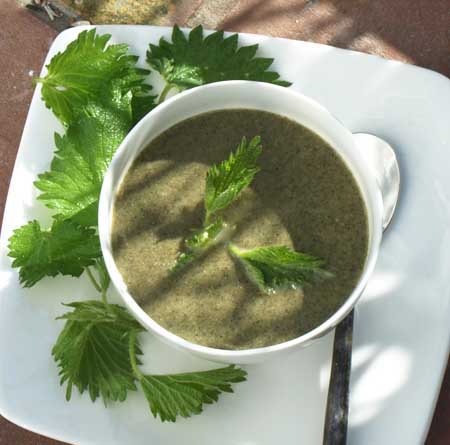 чорба из крапивы