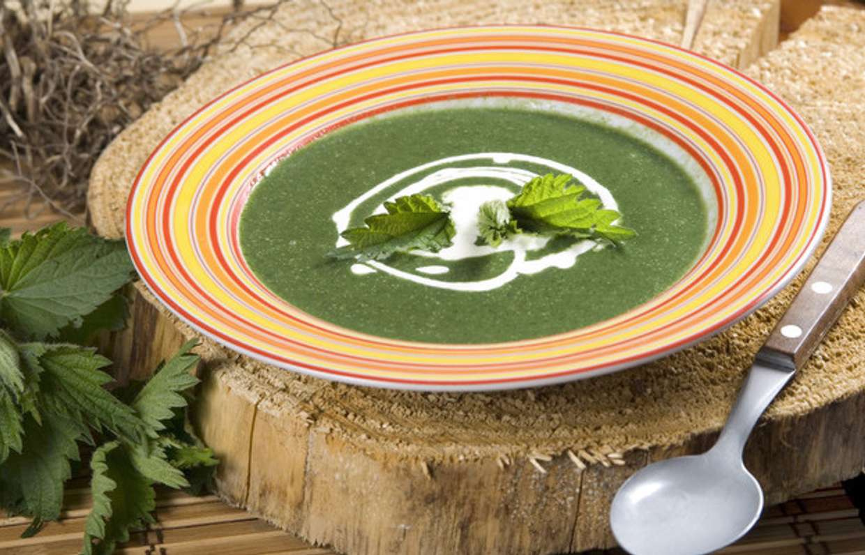 балканская кухня