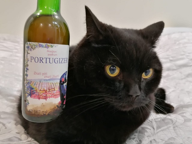 Вино и кошки или День молодого вина по-сербски