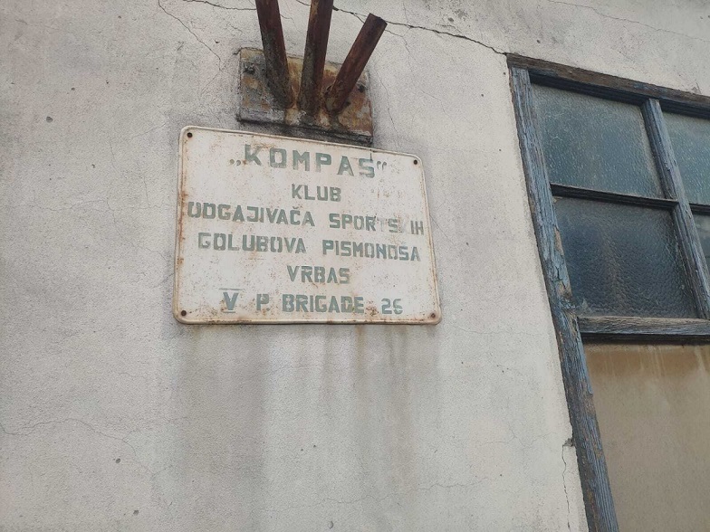 клуб заводчиков голубей