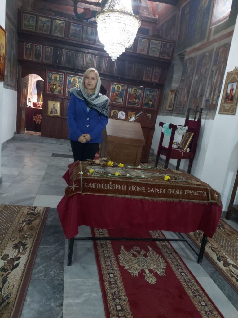 радмила васич
