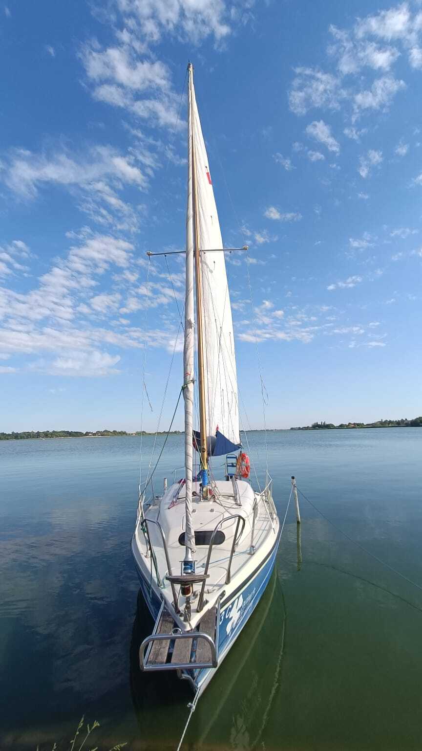 Белградцы на море