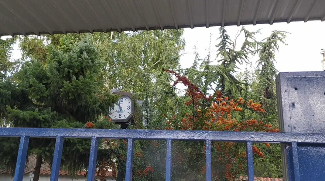 стара пазова