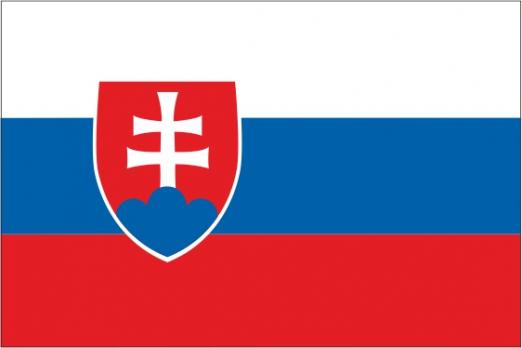 Словакия поможет Сербии в оборонке, атомной отрасли и вступлении в ЕС